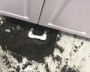 东丽查漏水哪家好